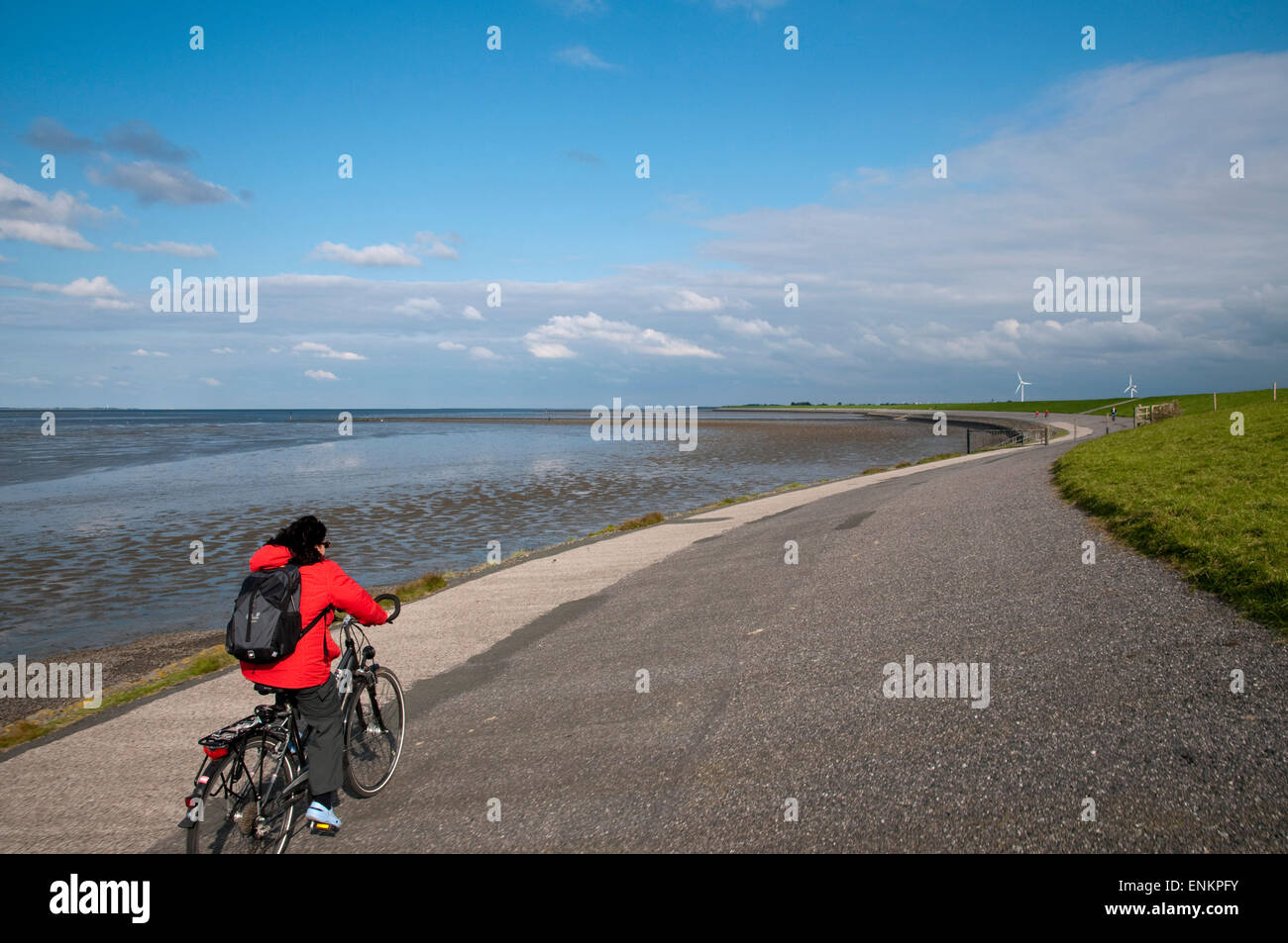Watt, Wattenmeer, Deisch, Radfahrer, Nordseekueste, Ostfriesland, Niedersachsen, Deutschland | Costa del Mare del Nord, Mare di Wadden, Ost Foto Stock