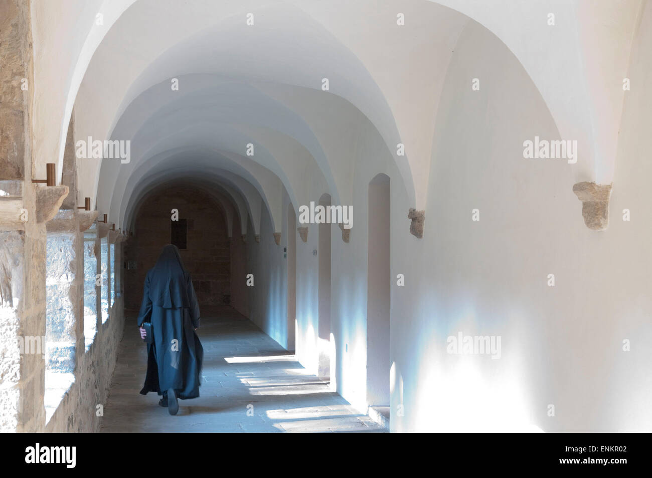 Chiostro del Duomo, Osnabrueck, Bassa Sassonia, Germania Foto Stock