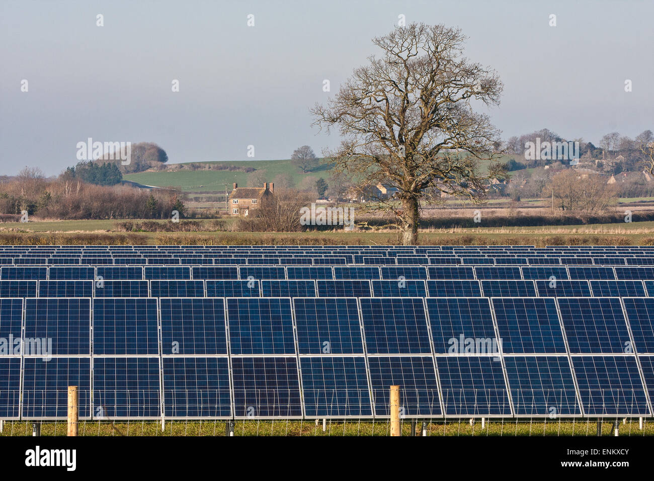 Pannelli solari in un campo di fattoria,Somerset, Inghilterra Foto Stock