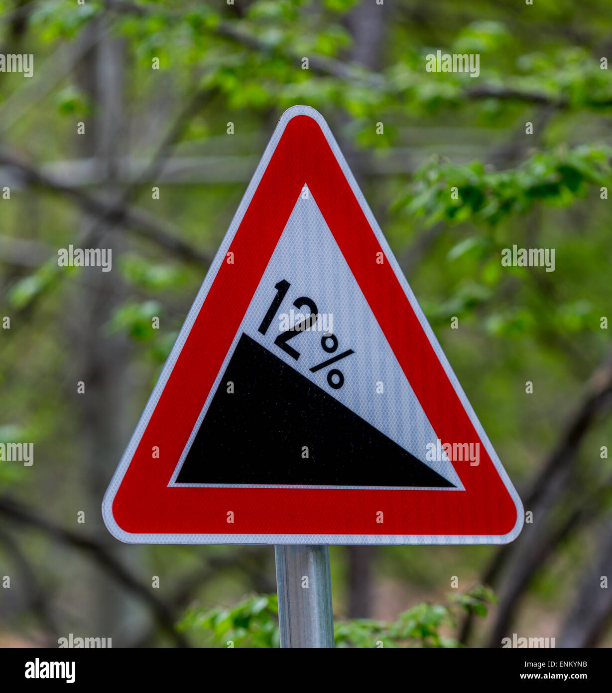 Triangolo rosso cartello stradale mostra 12% inclinazione. foresta sfondo verde. Foto Stock
