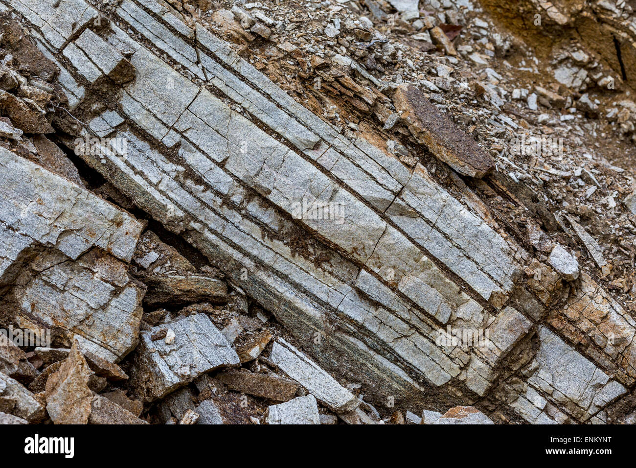 Formazione di roccia. La geologia. Strati di pietra grigia e la sporcizia sagomato in linee diagonali. Foto Stock