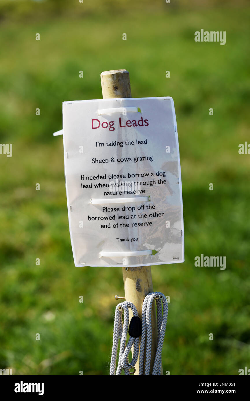 Ditchling Beacon Riserva Naturale su South Downs modo Sussex Regno Unito - cane conduce per cane per gli escursionisti per utilizzare gratuitamente quando ci sono le pecore Foto Stock