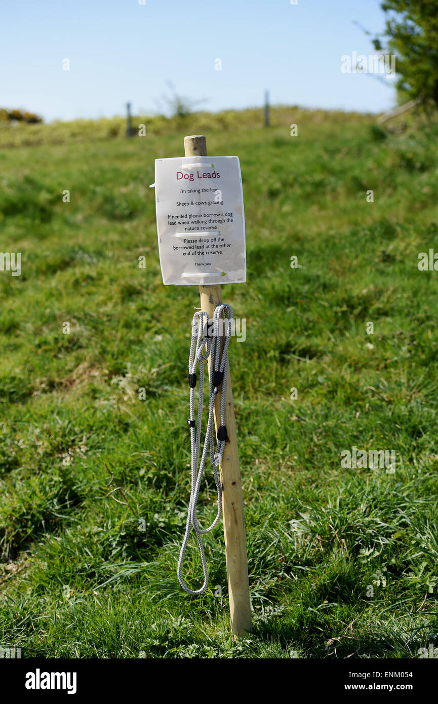 Ditchling Beacon Riserva Naturale su South Downs modo Sussex Regno Unito - cane conduce per cane per gli escursionisti per utilizzare gratuitamente quando ci sono le pecore Foto Stock