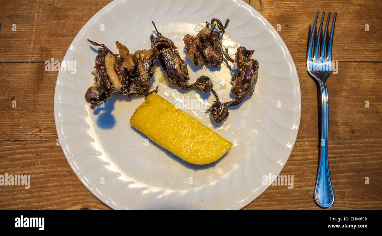 Polenta e uccelli, è un piatto tipico della tradizione di caccia in Italia Foto Stock