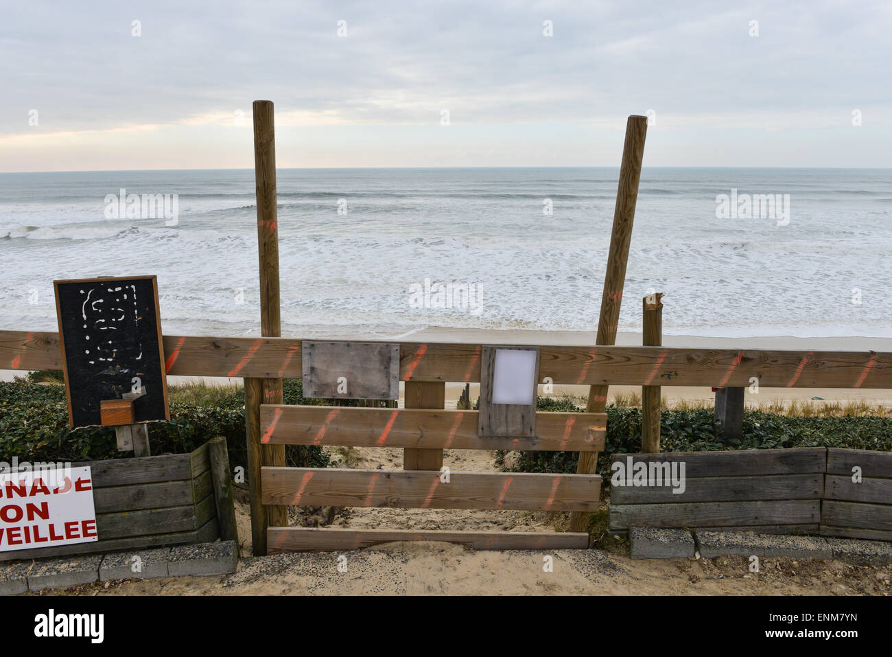 Protezione delle dune di sabbia-spiaggia oceano Atlantico Foto Stock