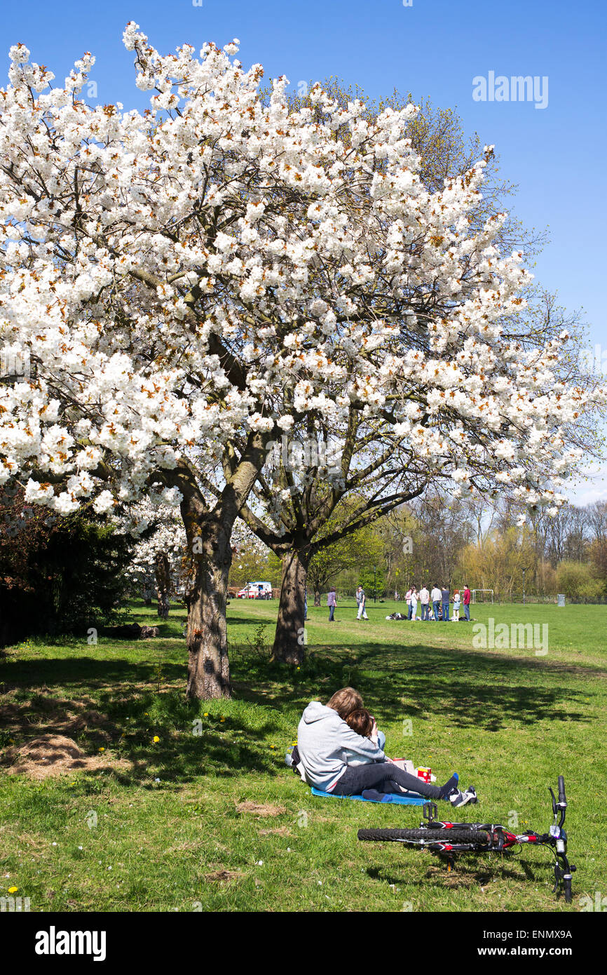 Giovane amore in primavera-tempo, città di York, nello Yorkshire, Inghilterra Foto Stock