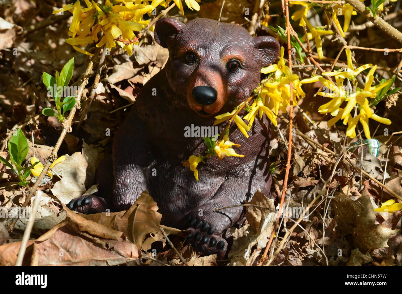 Tenere le boccole Foto Stock