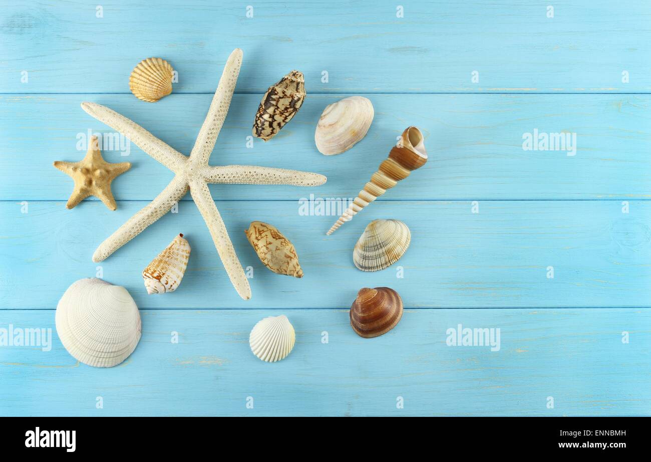 Stella di mare e conchiglie di mare azzurro su sfondo di legno Foto Stock