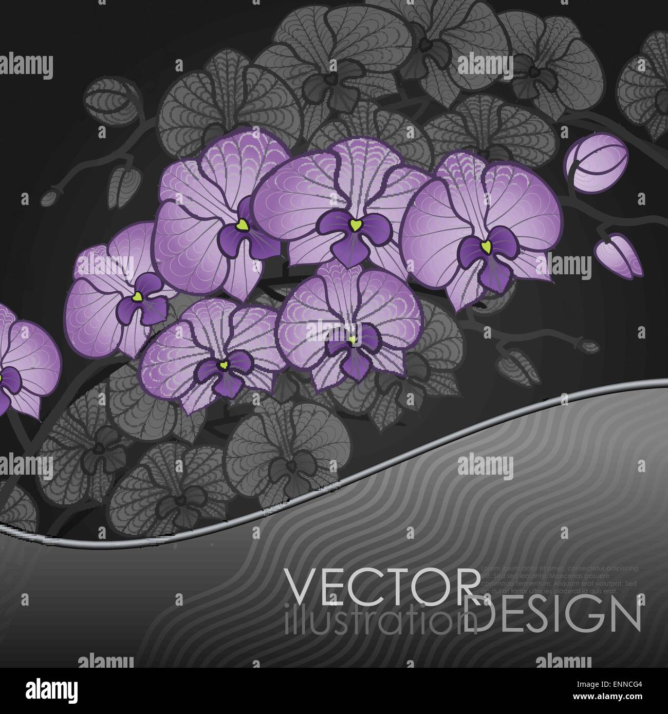 Disegno a mano di fiori di orchidea. Illustrazione Vettoriale