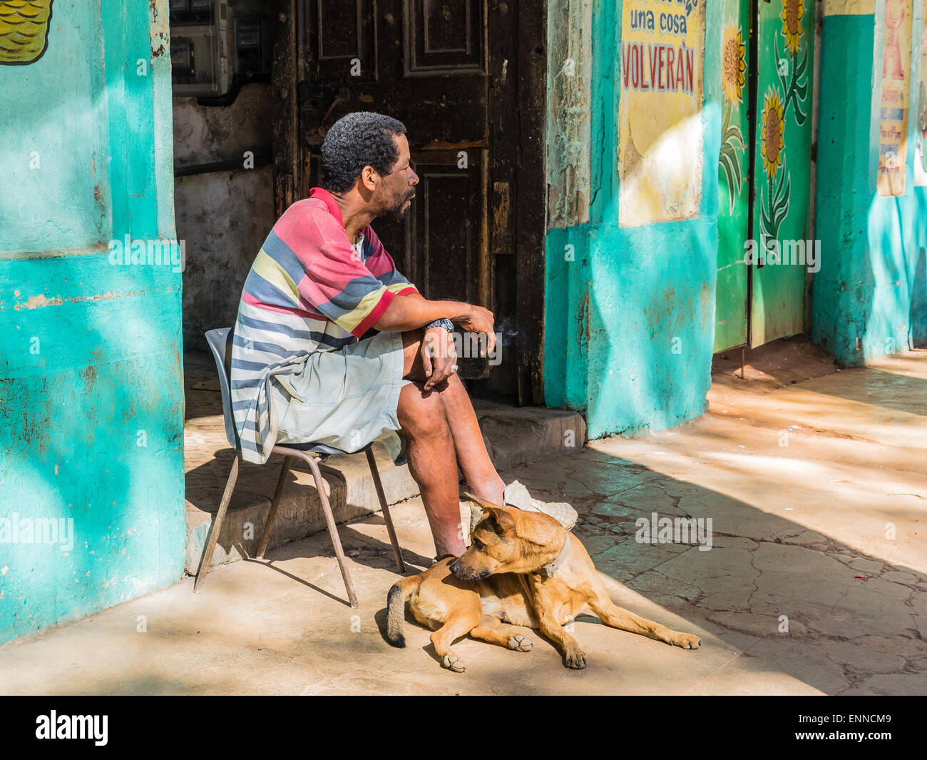 Un afro-cubane uomo seduto in poltrona con il cane che giace ai suoi piedi da un luminoso aqua edificio colorato nel marketplace di l'Avana. Foto Stock
