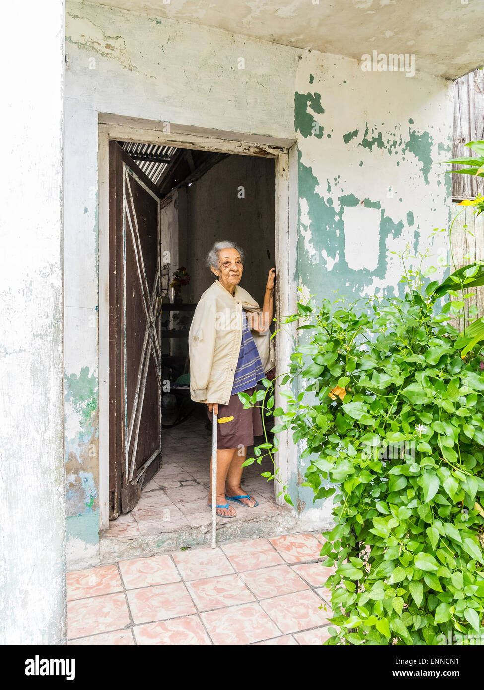 Afro-cubane femmina senior citizen con capelli grigi in piedi sulla porta della sua casa guardando fuori, un braccio contro la porta Foto Stock
