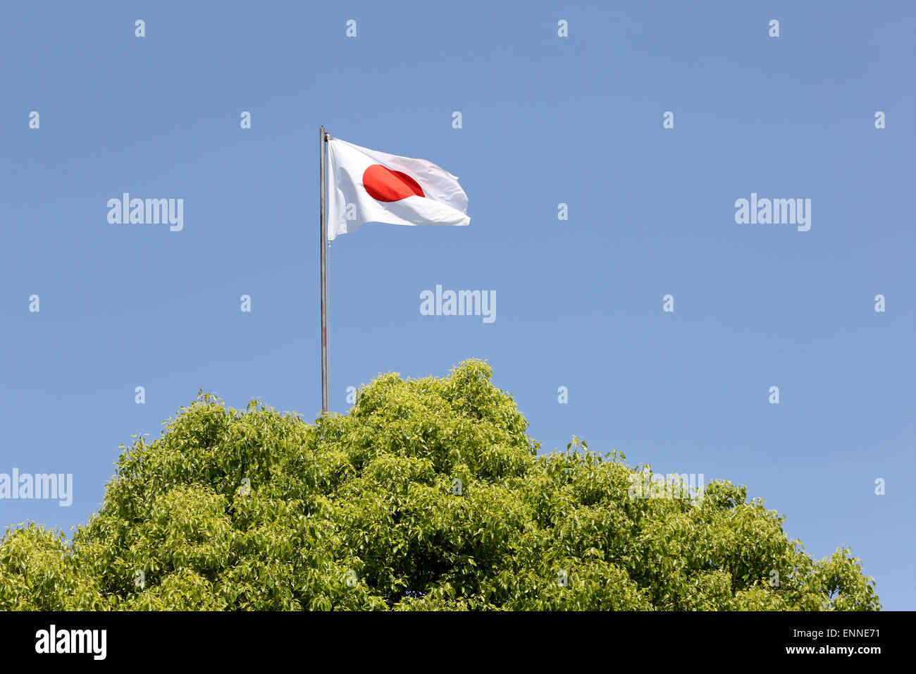Bandiera giapponese in vento contro il cielo blu chiaro Foto Stock