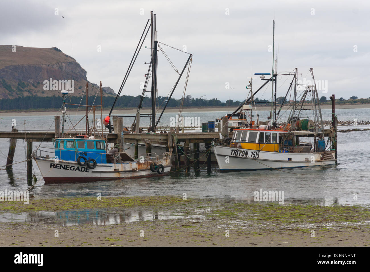 Penisola di Otago, Nuova Zelanda 16 febbraio 2012. Barche da pesca ormeggiate presso un molo. La pesca è una delle principali industrie in questo Foto Stock