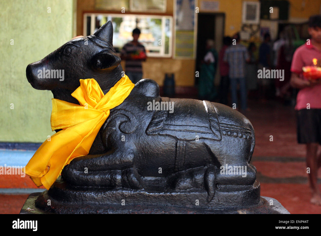 Sacro Nandi statua all'interno Koneswaram Kovil, Trincomalee, Sri Lanka Foto Stock