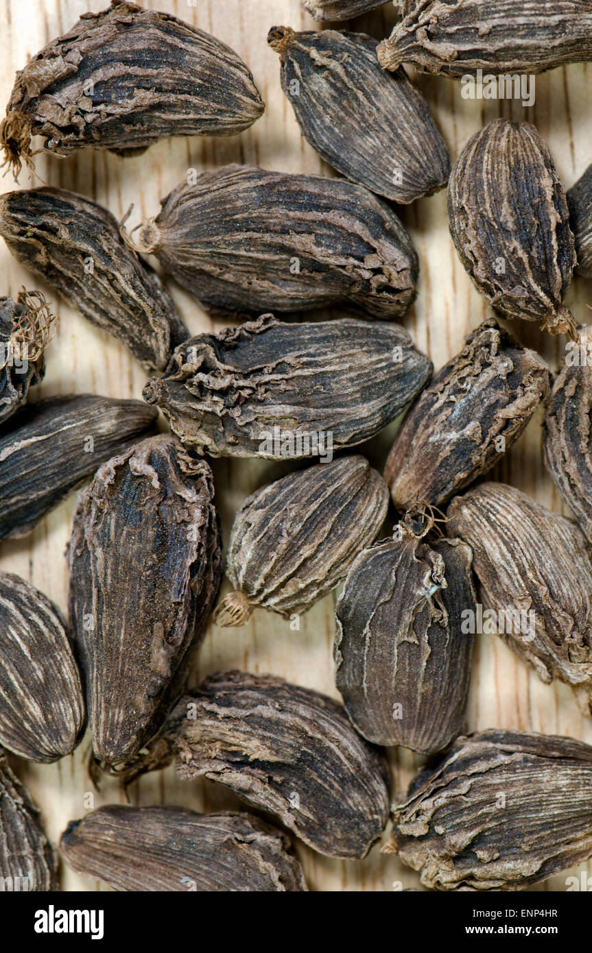 Close up di nero i semi di cardamomo Foto Stock