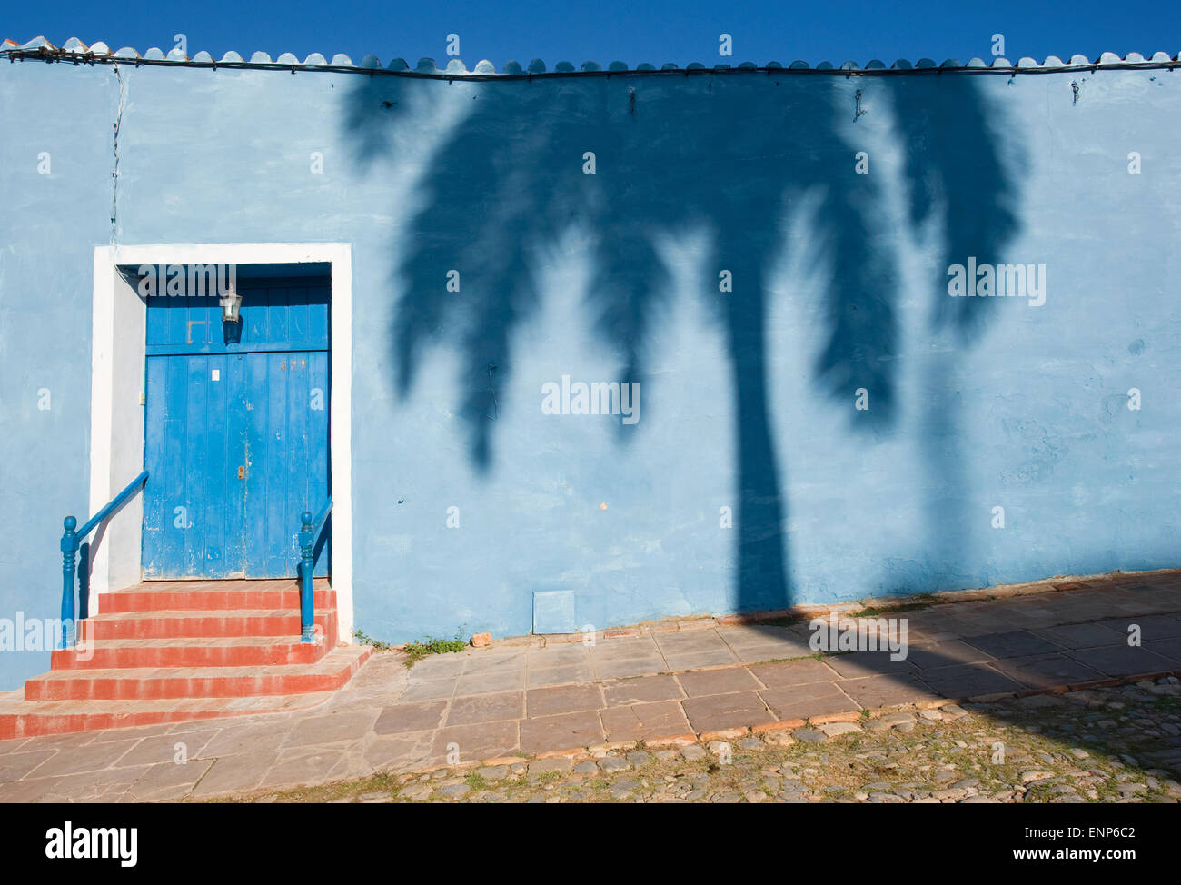 L'ombra di una palma accanto a una porta in Trinidad de Cuba, Cuba Foto Stock