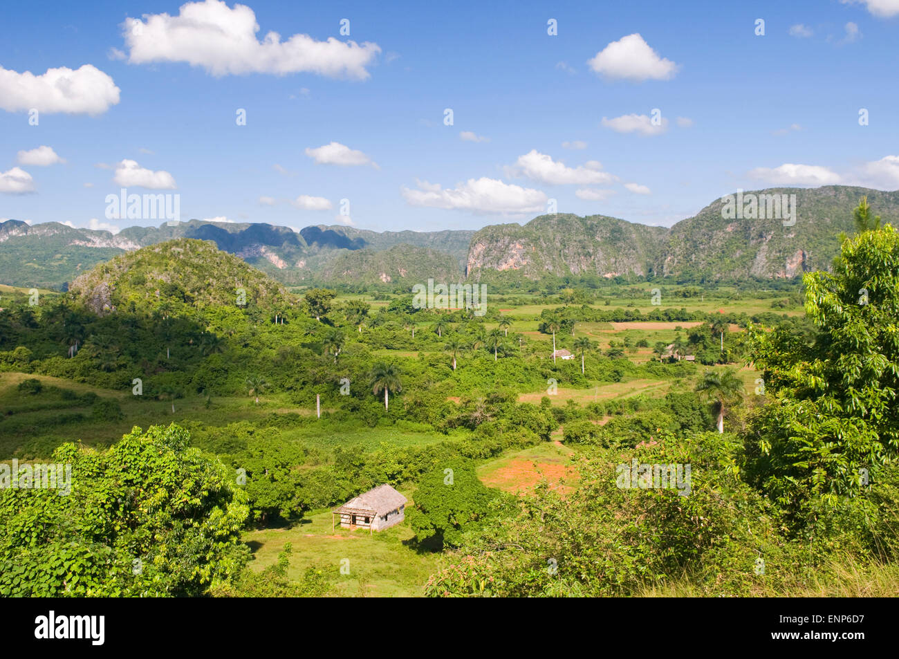 Una vista sulla montagna in Vinales, Cuba Foto Stock