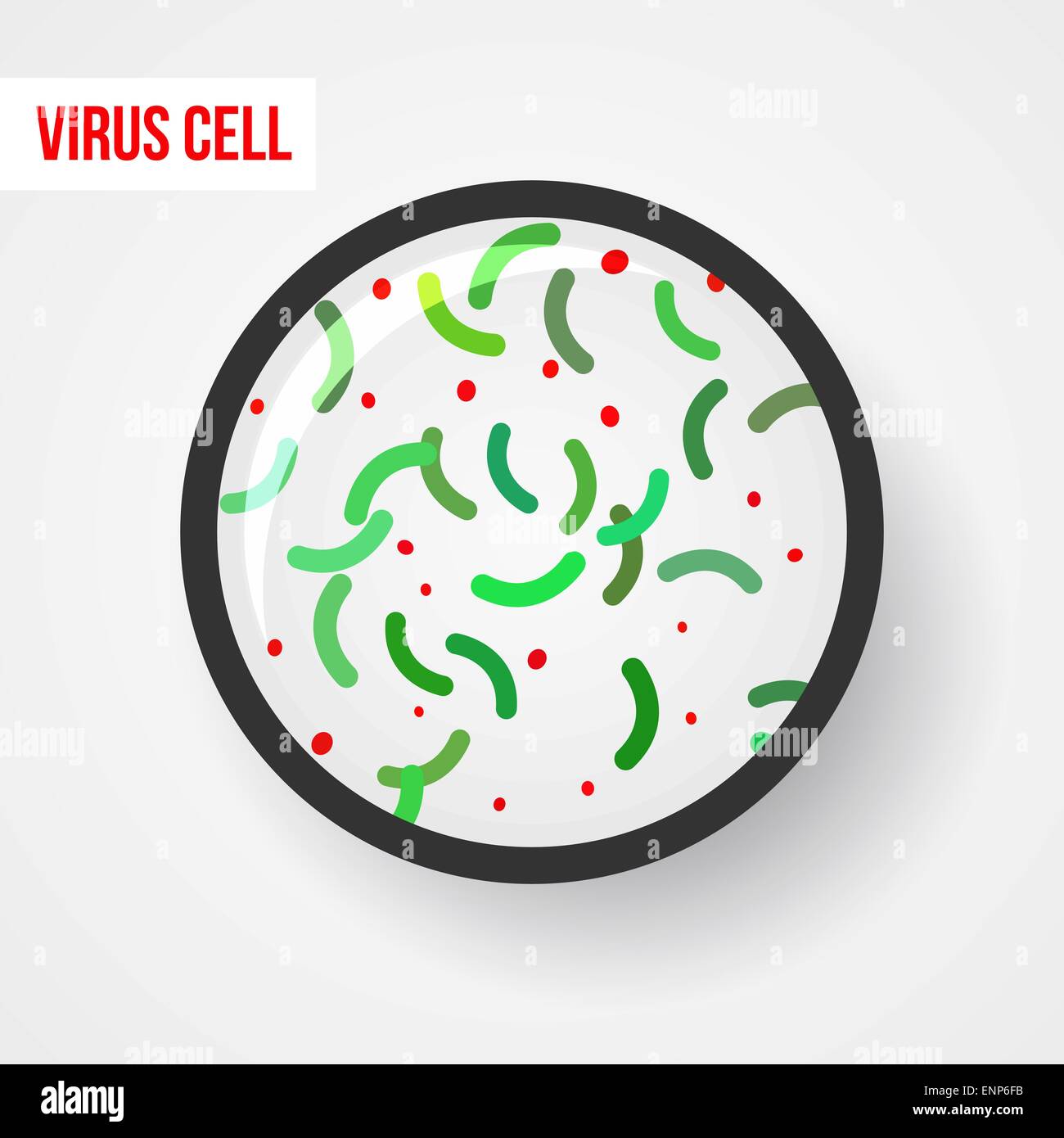 Anatomia di una cellula batterica Illustrazione Vettoriale