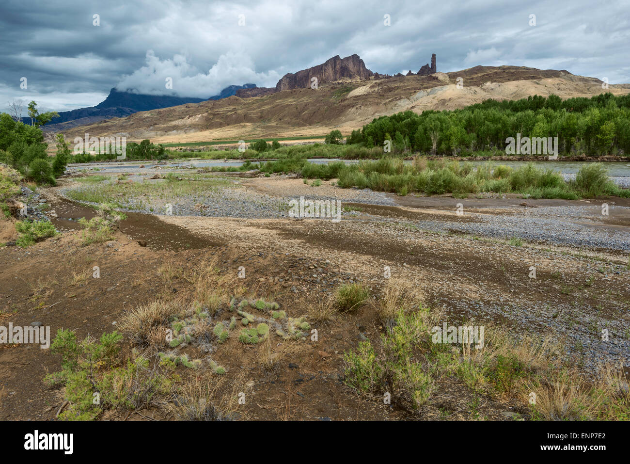 Il paesaggio arido di Buffalo Bill parco dello Stato con il fiume Shoshone affiancato da laminazione paesaggio e le montagne. Foto Stock