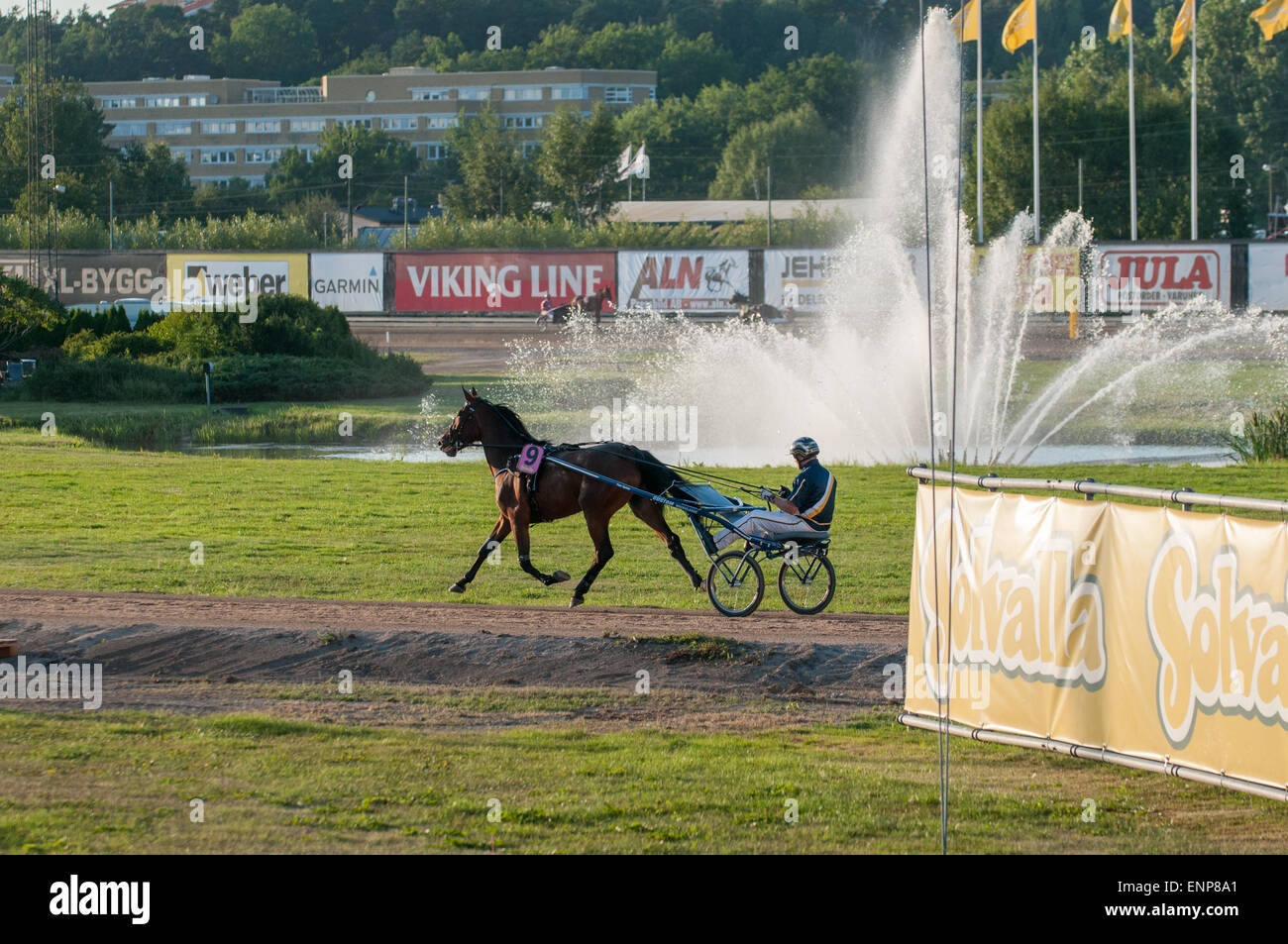Cablaggio di Solvalla race course in estate in Svezia Foto Stock