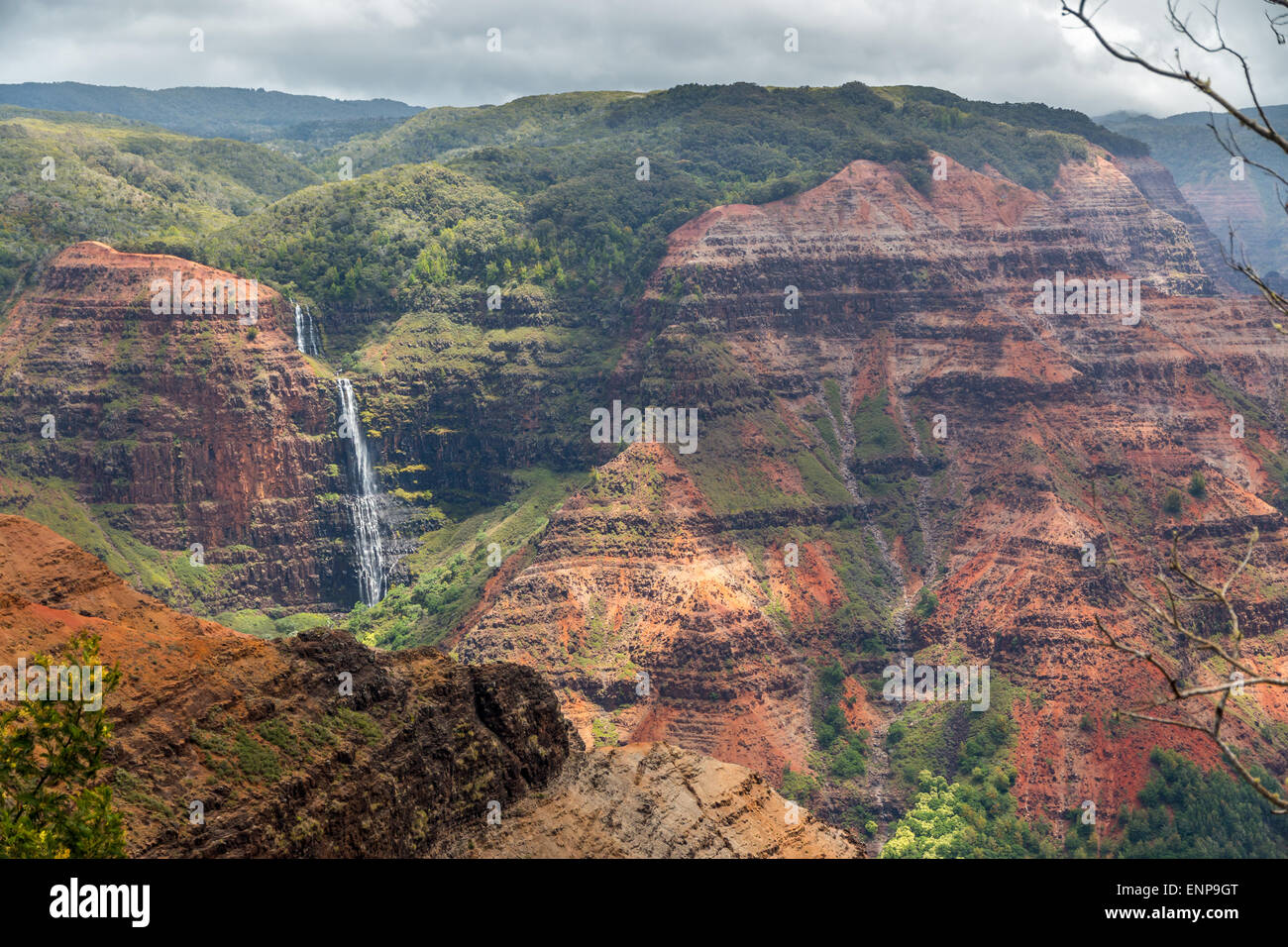 Waipoo cade gocce 800 piedi al fondo del Canyon di Waimea sulla Kauai, Hawaii Foto Stock