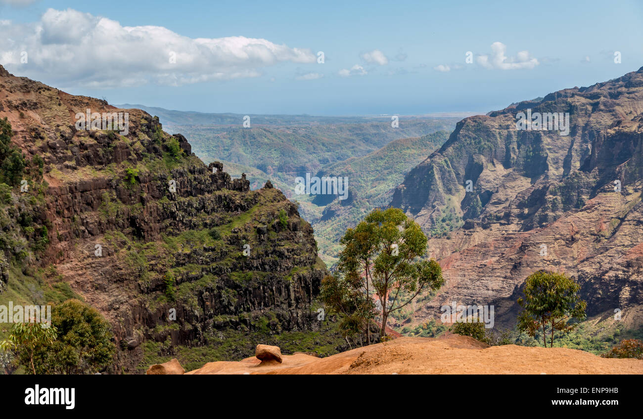 Il Canyon di Waimea dalla cresta sopra Waipoo caduta Kauai, Hawaii. Foto Stock