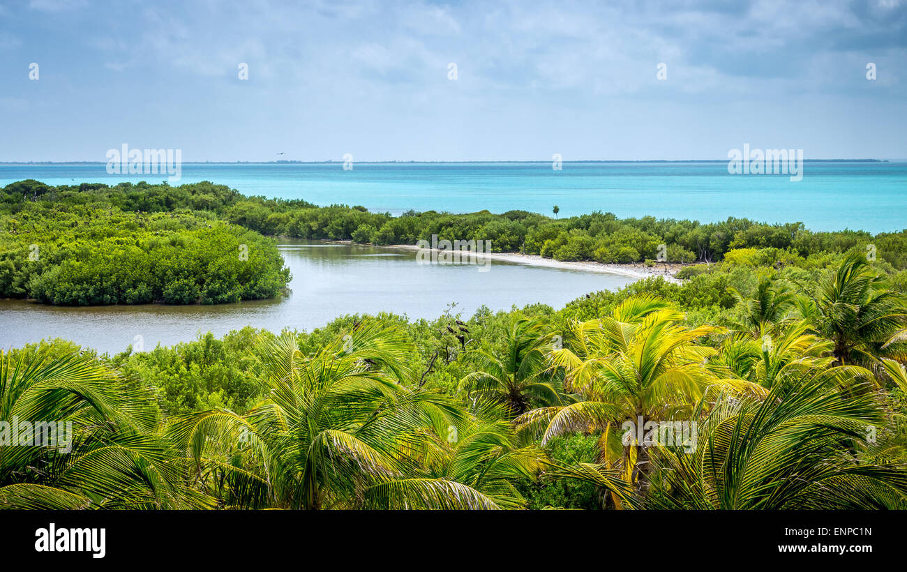 Vista aerea messicana di Contoy isola tropicale Foto Stock