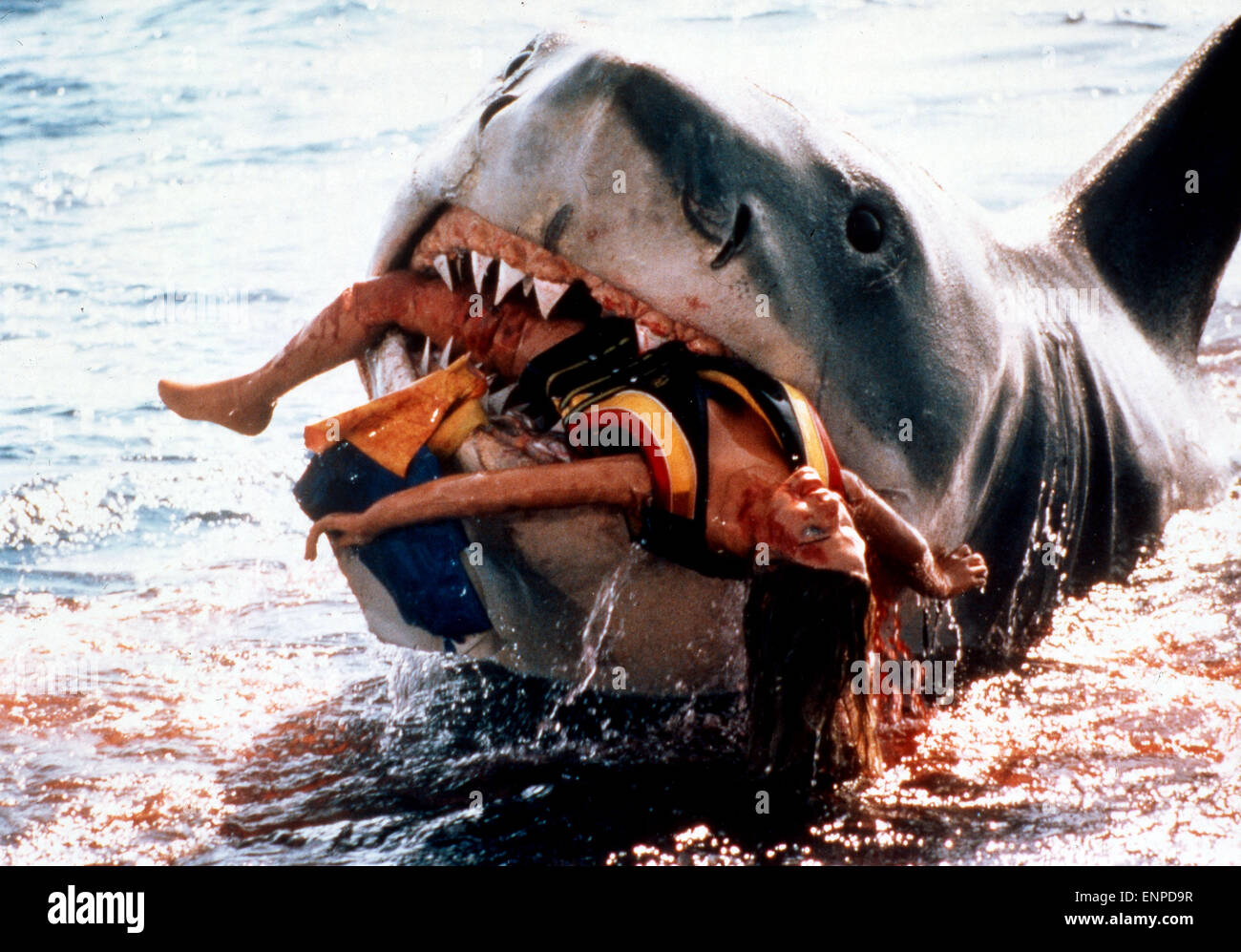 Le ganasce, aka: Der weiße Hai, USA 1974, Regie: Steven Spielberg, Szenenfoto, Foto Stock