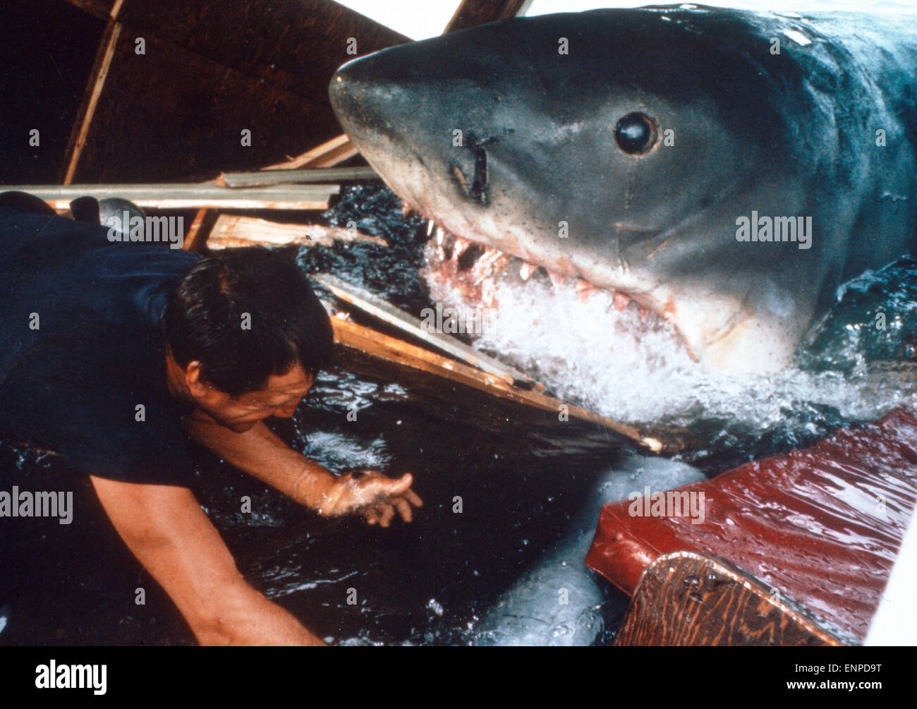 Le ganasce, aka: Der weiße Hai, USA 1974, Regie: Steven Spielberg, Szenenfoto mit Roy Scheider (unten) Foto Stock