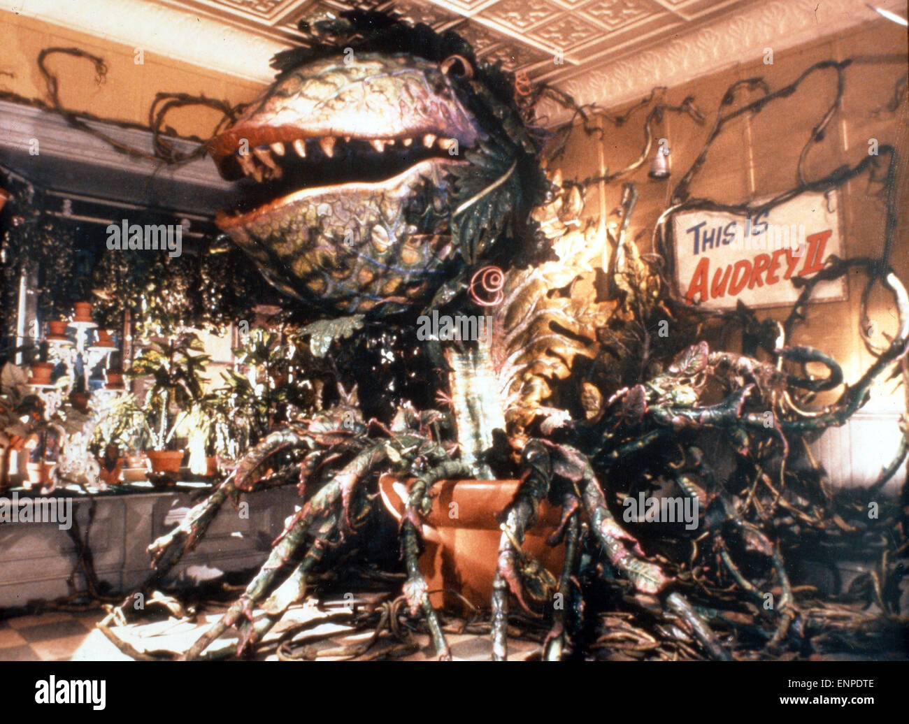 Little Shop of Horrors, aka: Der kleine Horrorladen, USA 1986, Regie: Frank Oz, Szenenfoto mit Audrey II Foto Stock