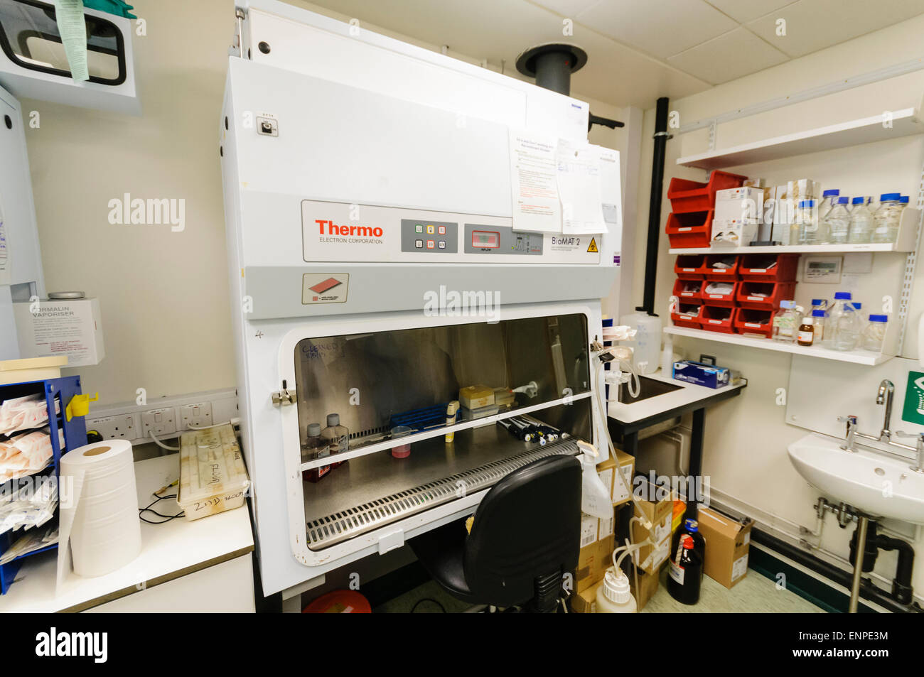 Thermo Electron Corporation biostuoia 2 Armadio di sicurezza per microbiologia di in un laboratorio di ricerca. Foto Stock