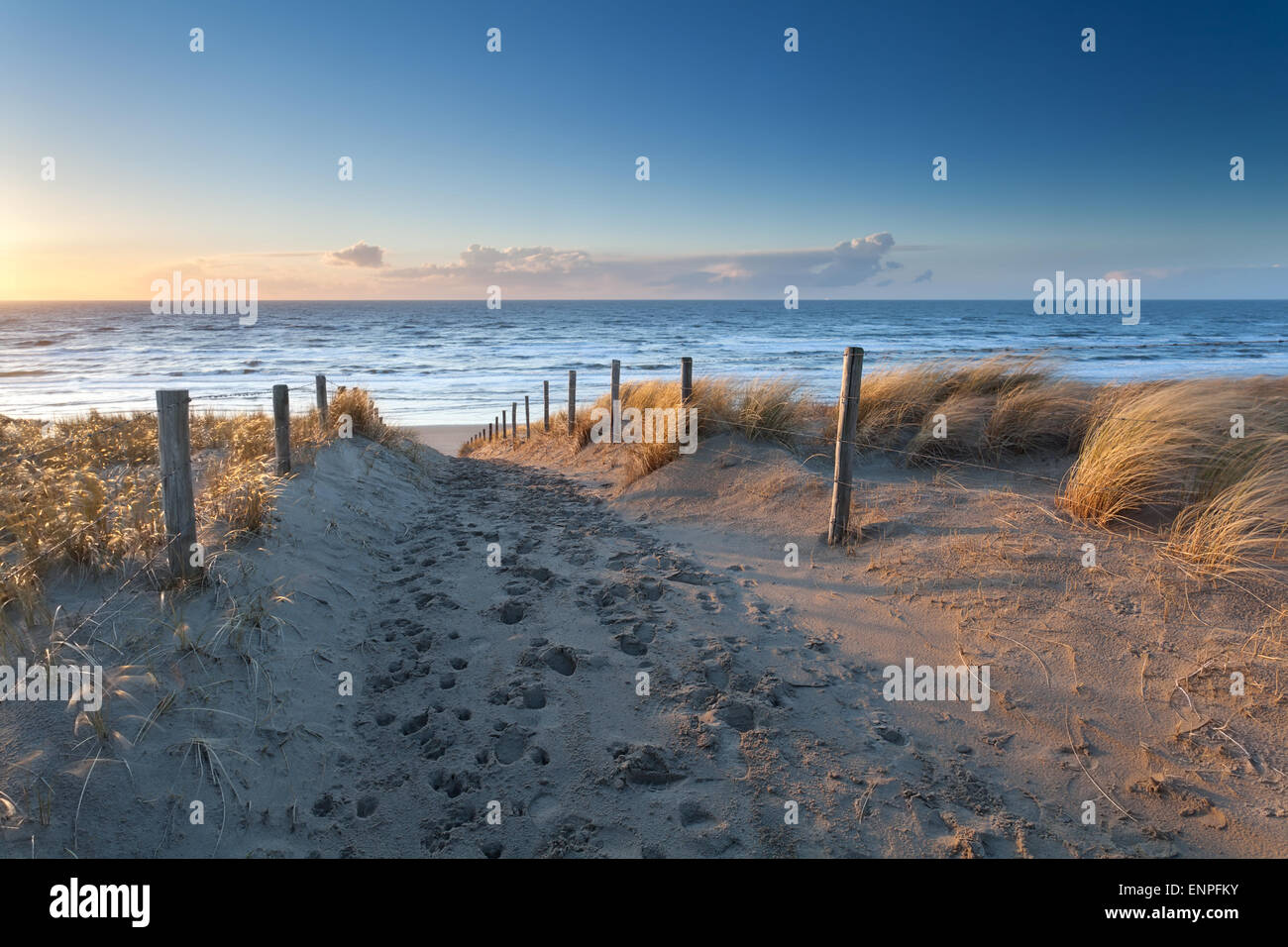 Sentiero di sabbia di costa del mare del Nord al tramonto, Olanda Foto Stock