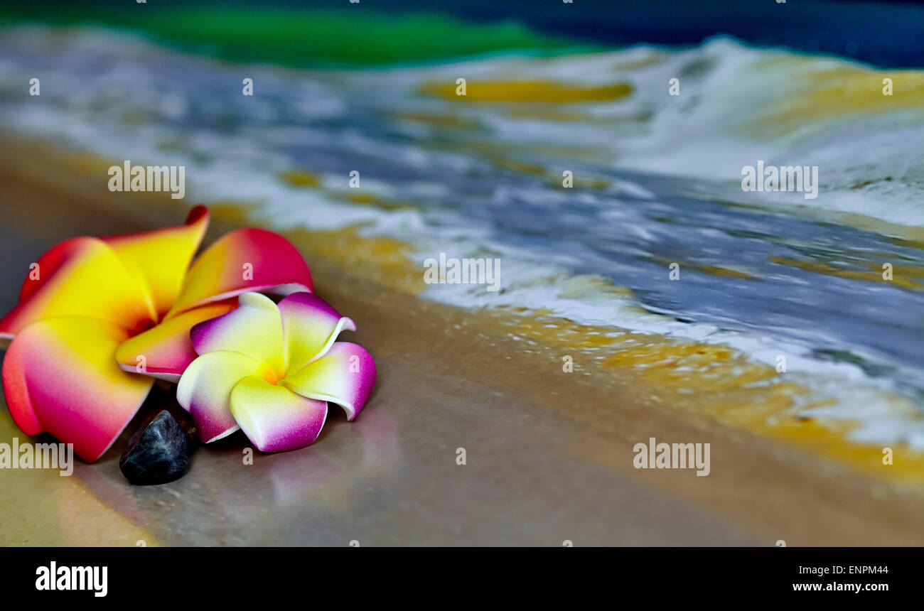 Una rosa e giallo fiore hawaiano, Plumeria, posa sulla sabbia con onde in background e profondità di campo Foto Stock