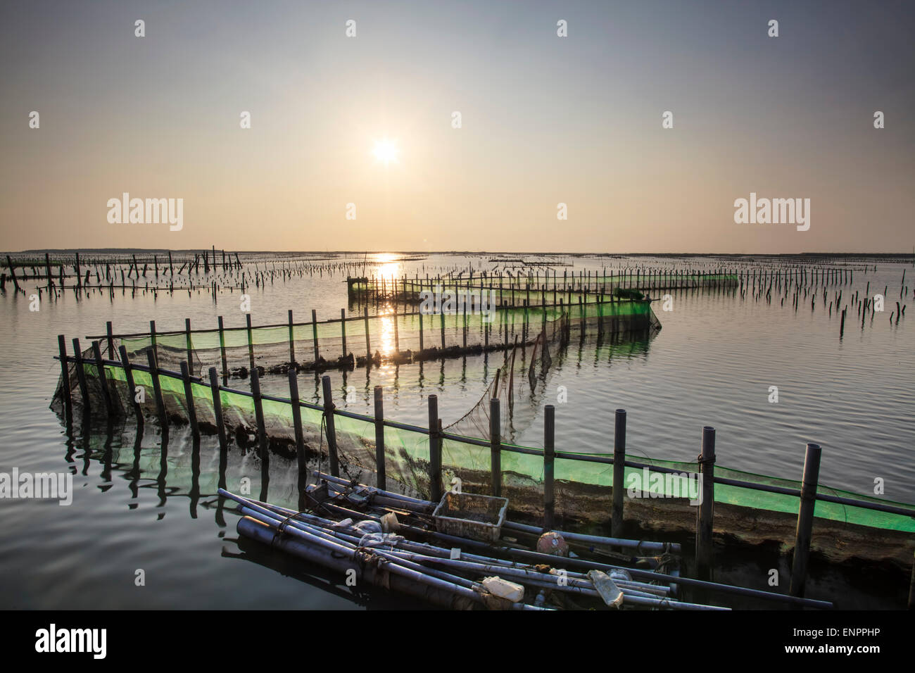 Bel tramonto in Oyster Farm per adv o altri usi Foto Stock