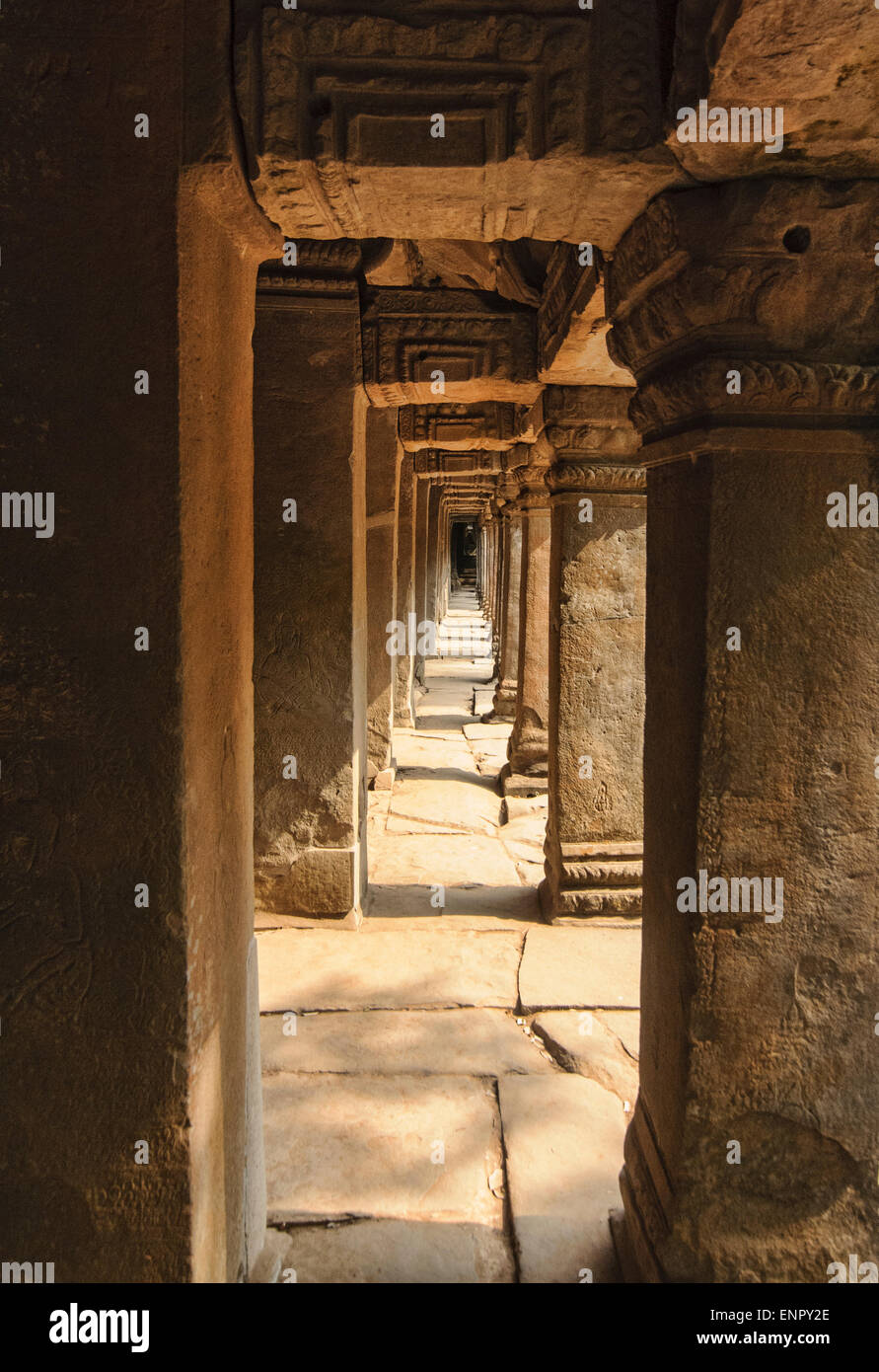 Il bellissimo tempio di Ta Prohm in Siem Reap, Cambogia Foto Stock