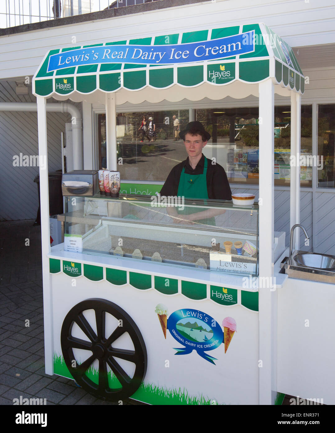 Lewis e reali di Gelati in stallo a Hayes Giardino Centro Mondiale Ambleside Cumbria Lake District Foto Stock