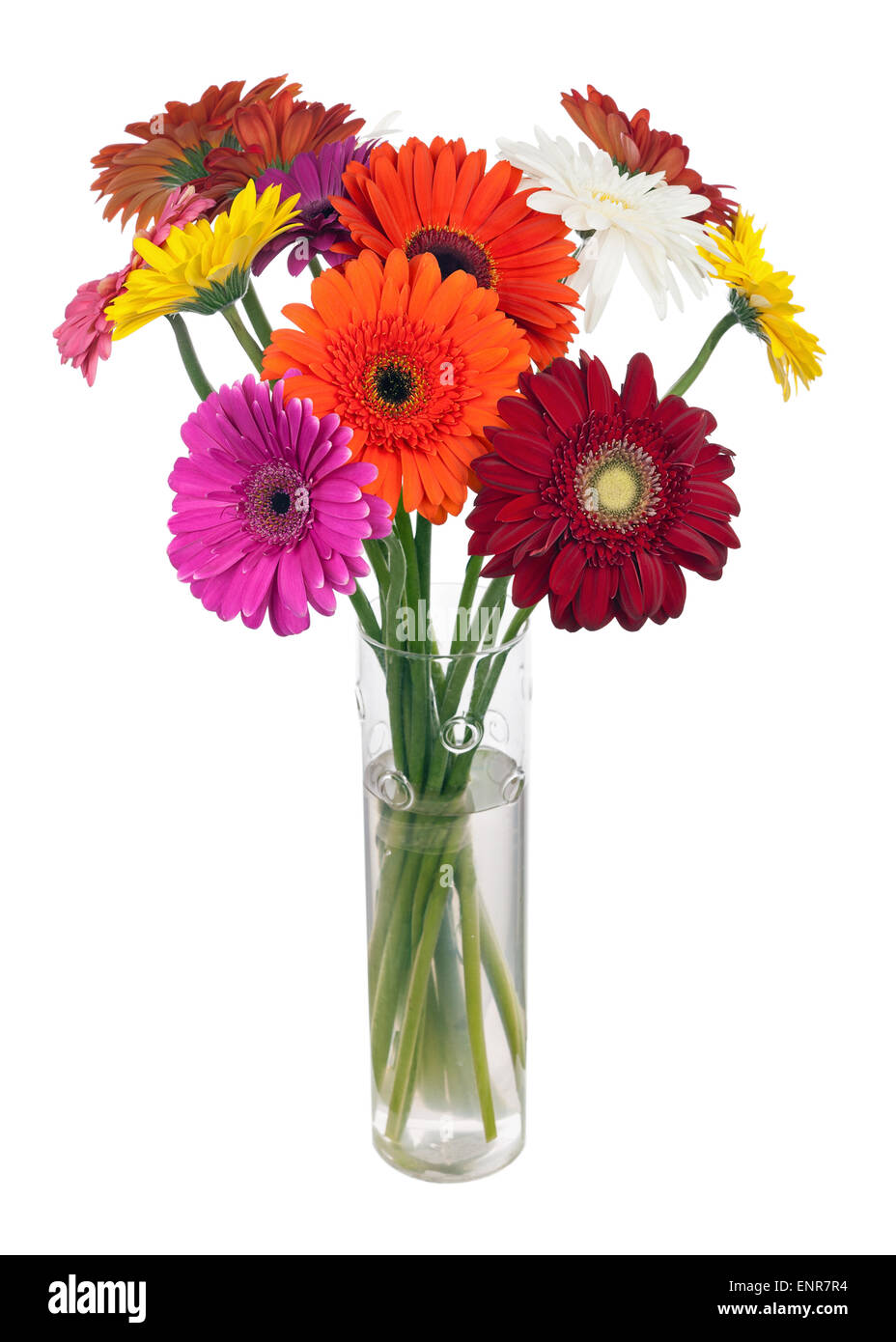 Bouquet da multi colorati fiori di gerbera in vaso di vetro disposizione centrotavola isolati su sfondo bianco. Foto Stock