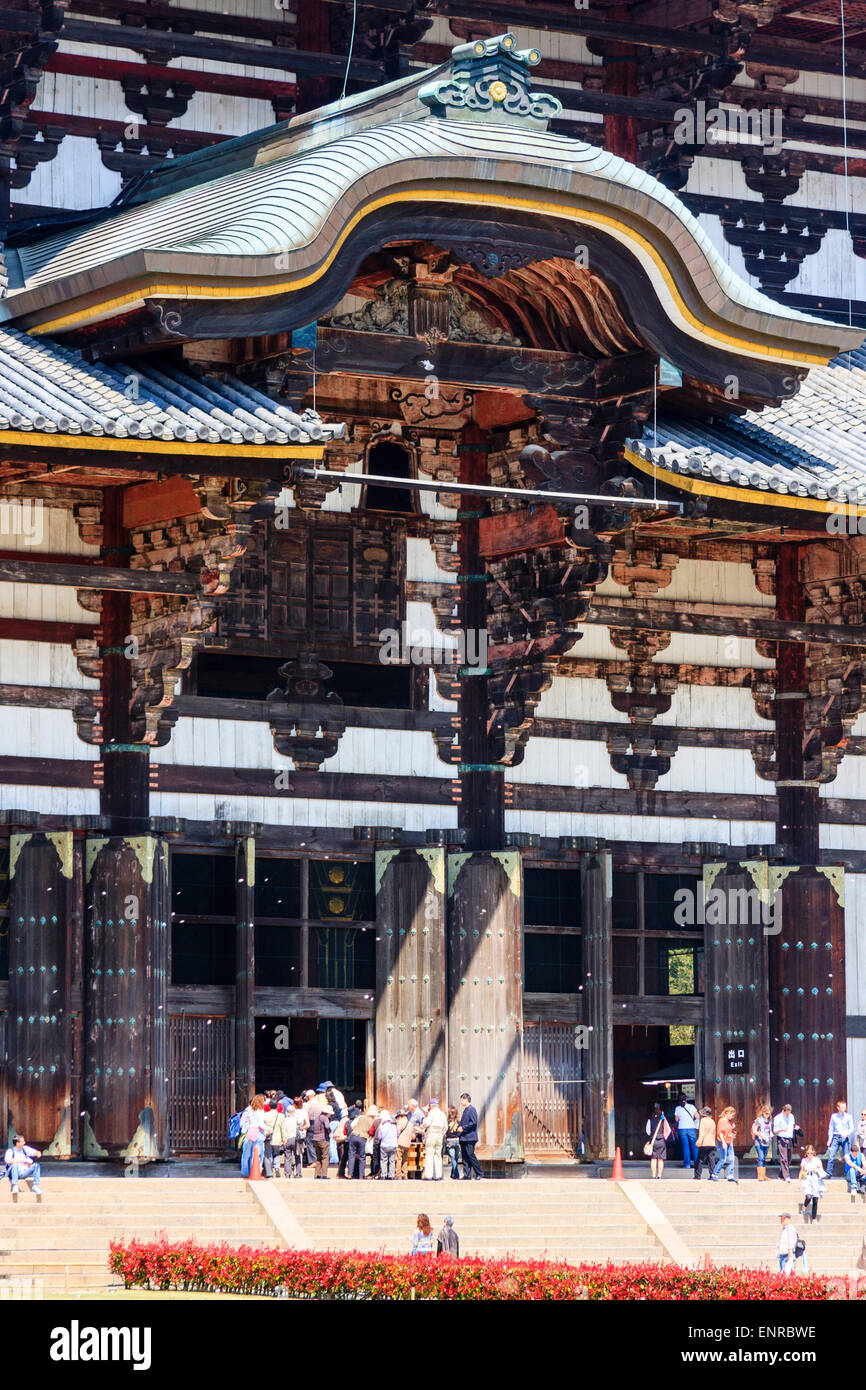 Tempio Todai-ji a Nara, Giappone. Colpo di prospettiva compresso della parte anteriore di Daibutsu-den, sala, mostrando le porte massicce e gable sopra l'ingresso principale. Foto Stock