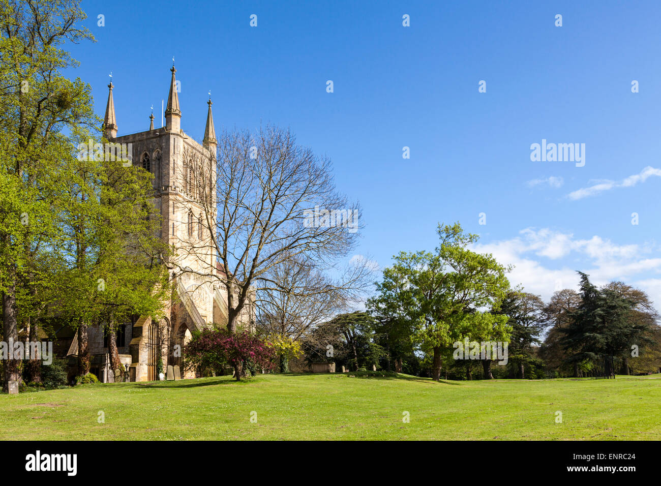 Pershore Abbey, Worcestershire, Inghilterra Foto Stock