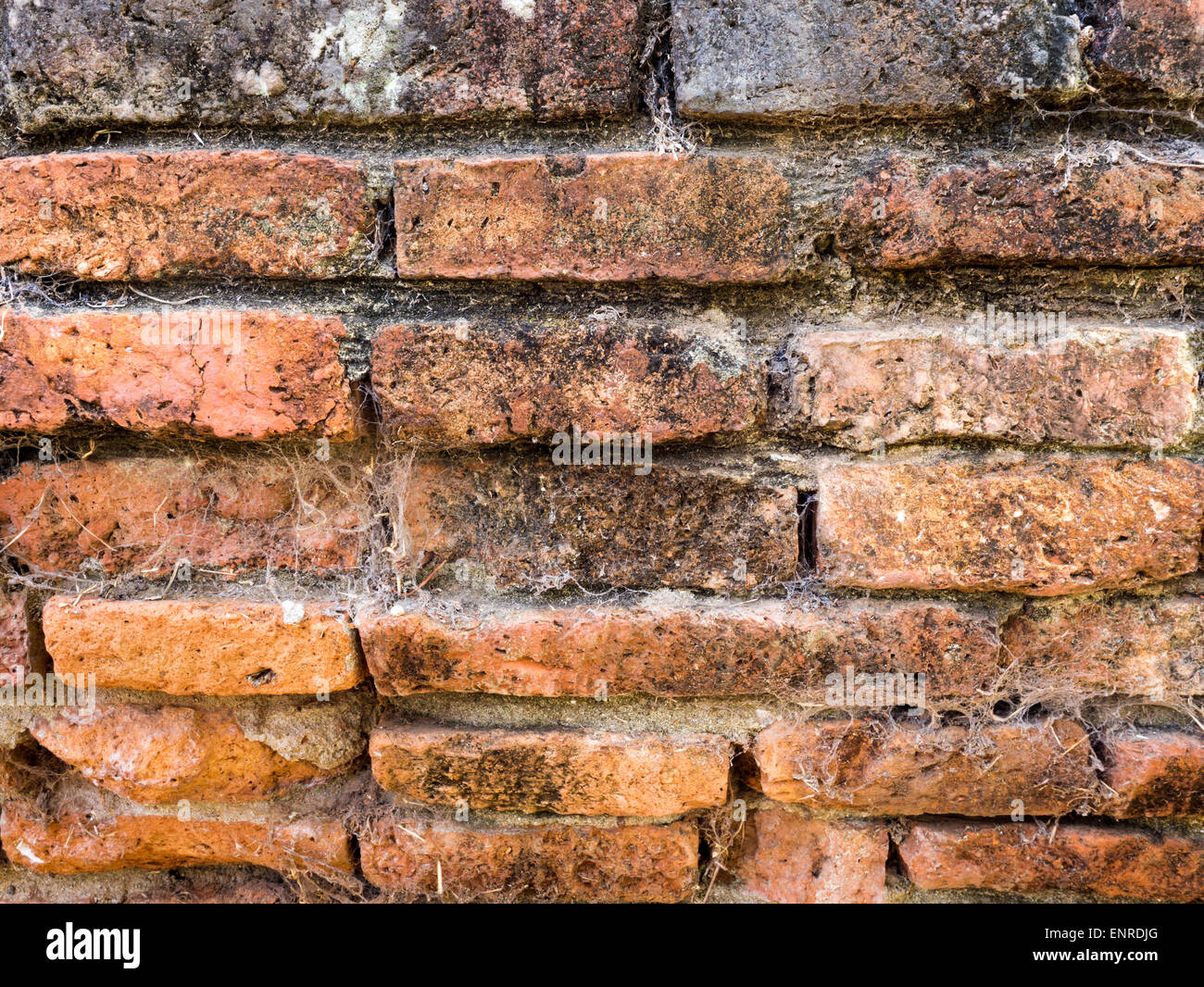 Vecchio rudere edificio con sbriciolare un muro di mattoni Texture Foto Stock