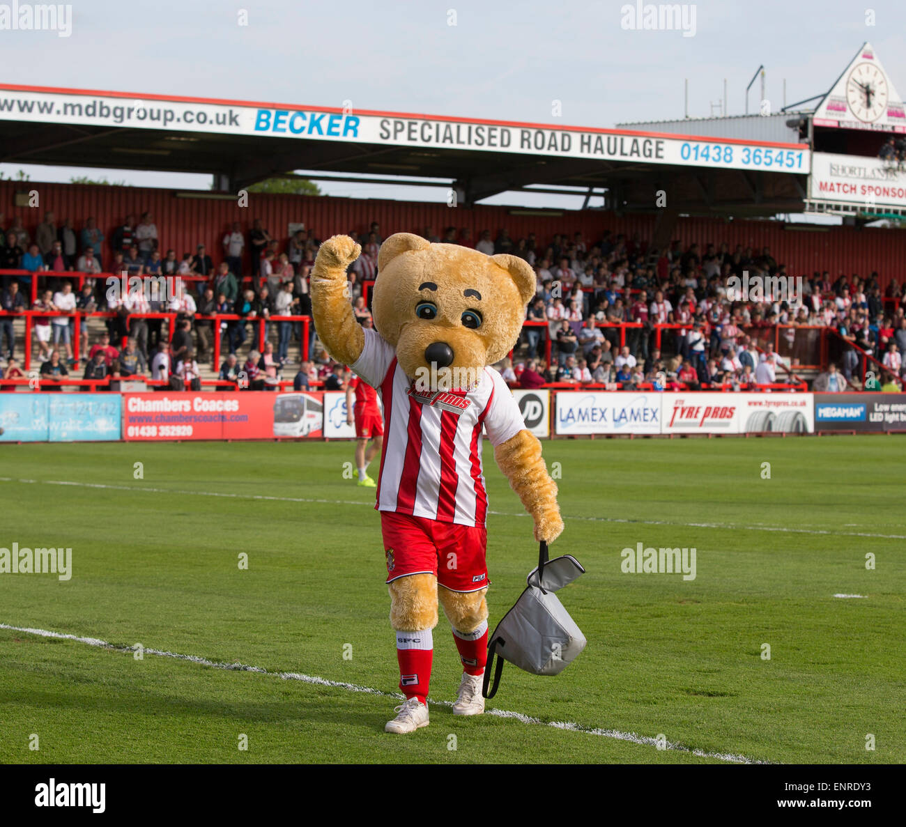 Stevenage, Regno Unito. Il 10 maggio, 2015. Skybet League 2 Play Off gamba 1a. Stevenage versus Southend. La mascotte di Stevenage Boro orso è presto per ottenere i tifosi il tifo. © Azione Sport Plus/Alamy Live News Foto Stock