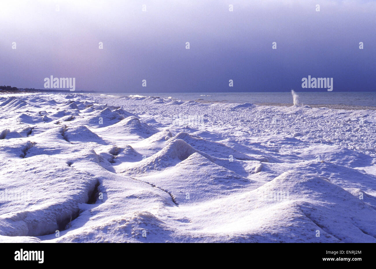 Grand Bend Ontario in Canada. Pineta Parco Provinciale del Lago Huron lago è ghiacciato in inverno Foto Stock Grand Bend Ontario in Canada. Pineta Parco Provinciale del Lago Huron lago è ghiacciato in inverno Foto Stock