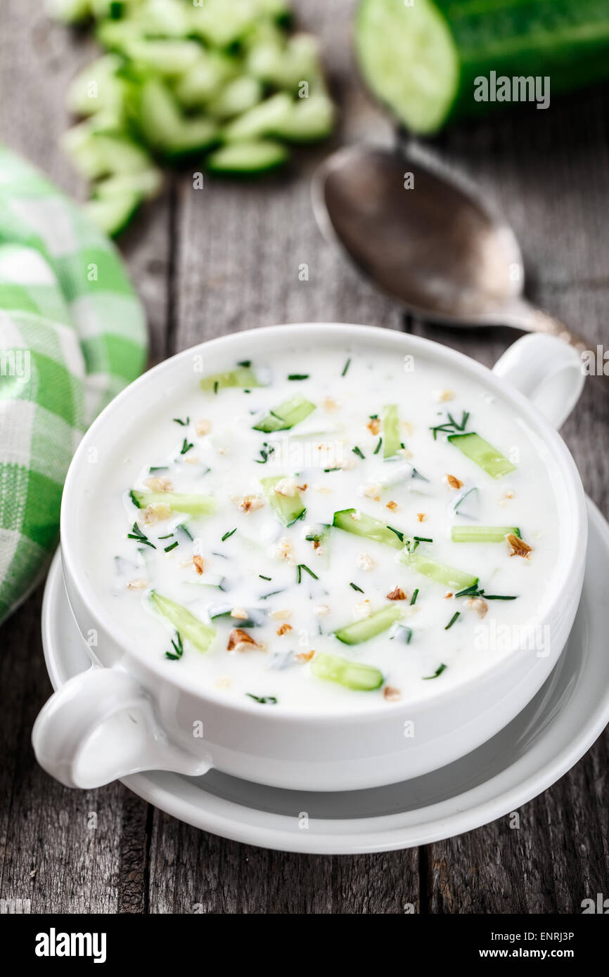 Zuppa fredda di cetrioli yogurt ed erbe fresche Foto Stock