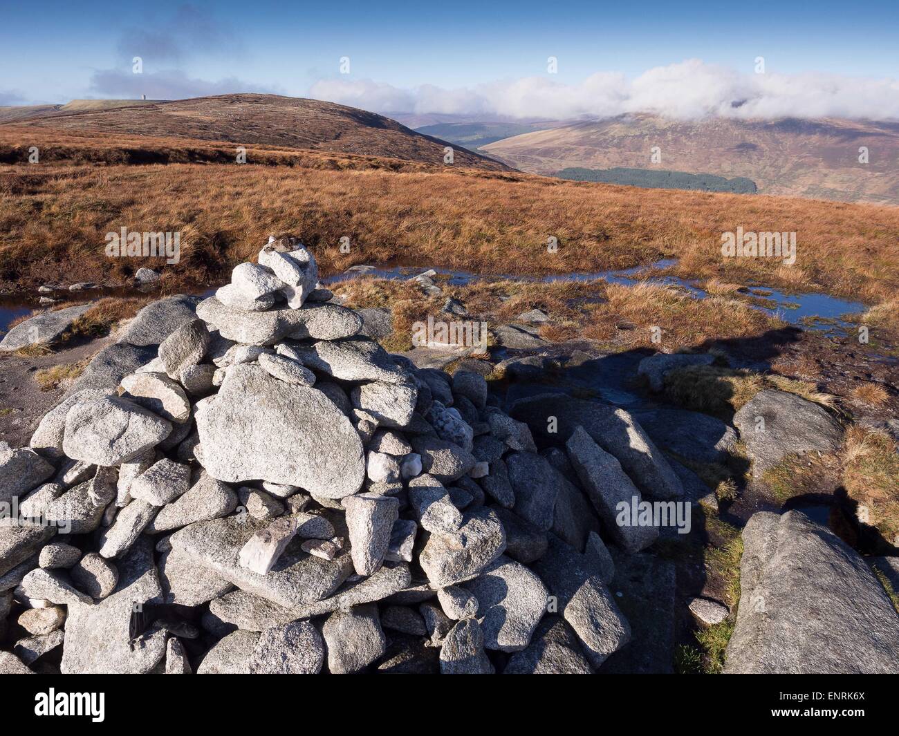 Montagne di Wicklow, Irlanda in inverno Foto Stock