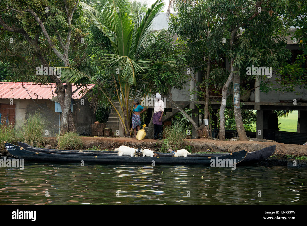 Due donne in piedi sulle rive accanto a una barca ormeggiata con tre caprini a bordo in un piccolo villaggio nelle lagune del Kerala in Foto Stock