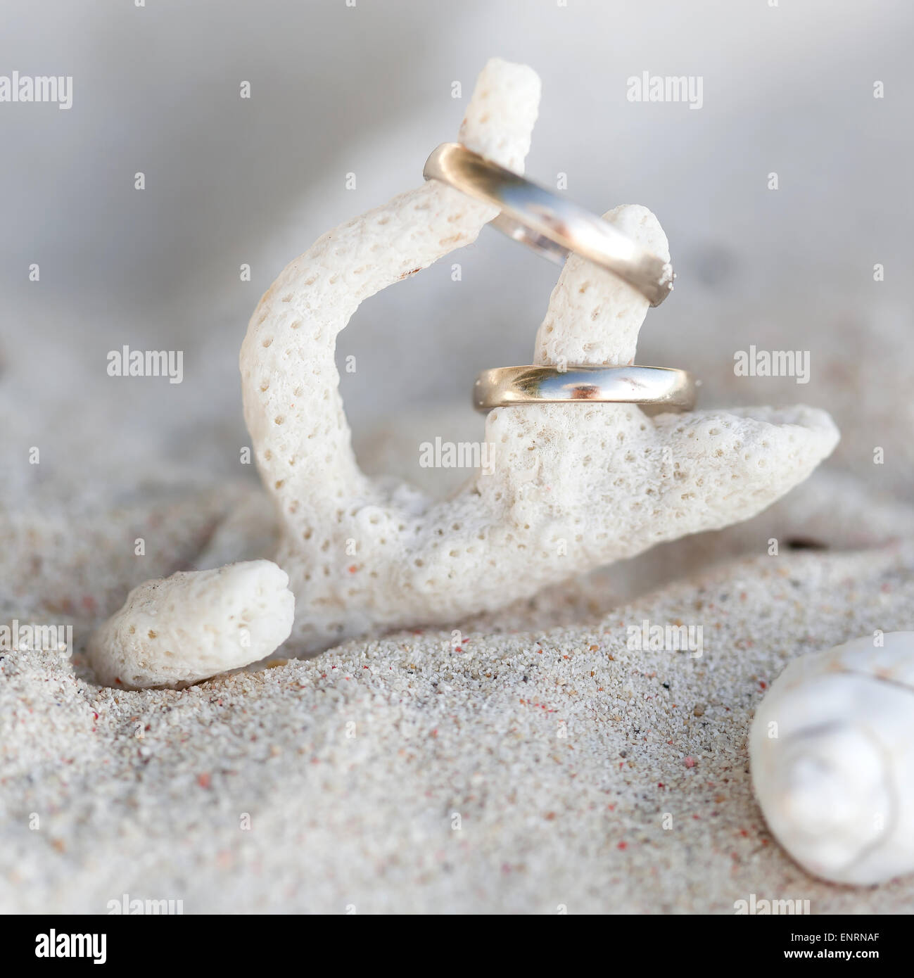 Celebrazione il giorno di San Valentino sulla spiaggia, anelli sulla shell Foto Stock