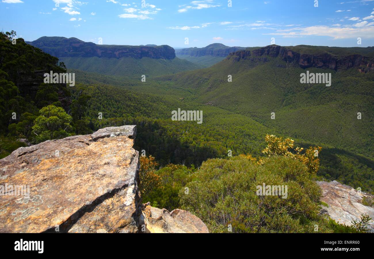 Il Blue Mountains nel Nuovo Galles del Sud, Australia Foto Stock