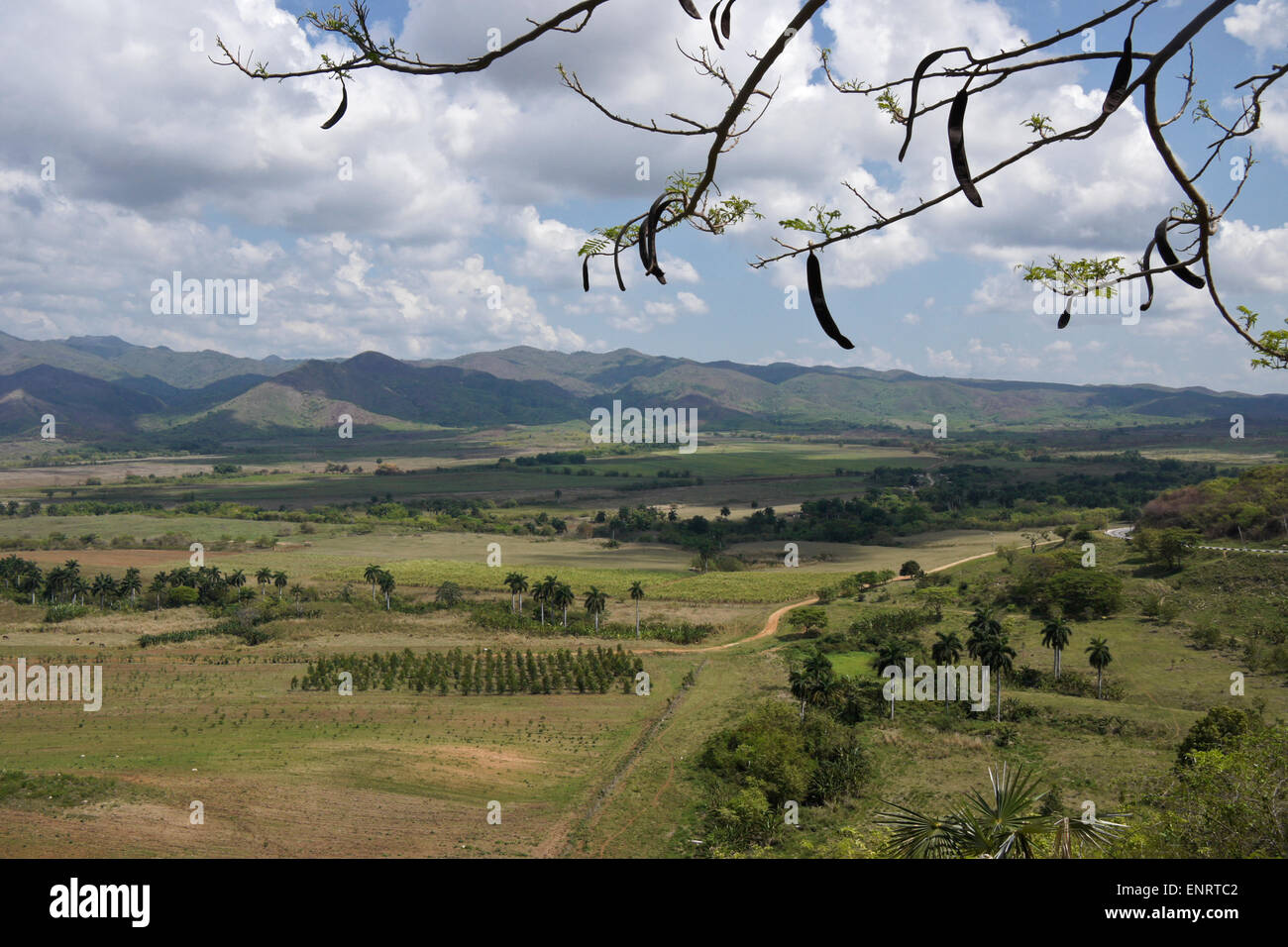 Vista la Valle de los Ingenios (Valle dei Mulini di zucchero) Dal Mirador de la Loma del Puerto, Trinidad, Cuba Foto Stock