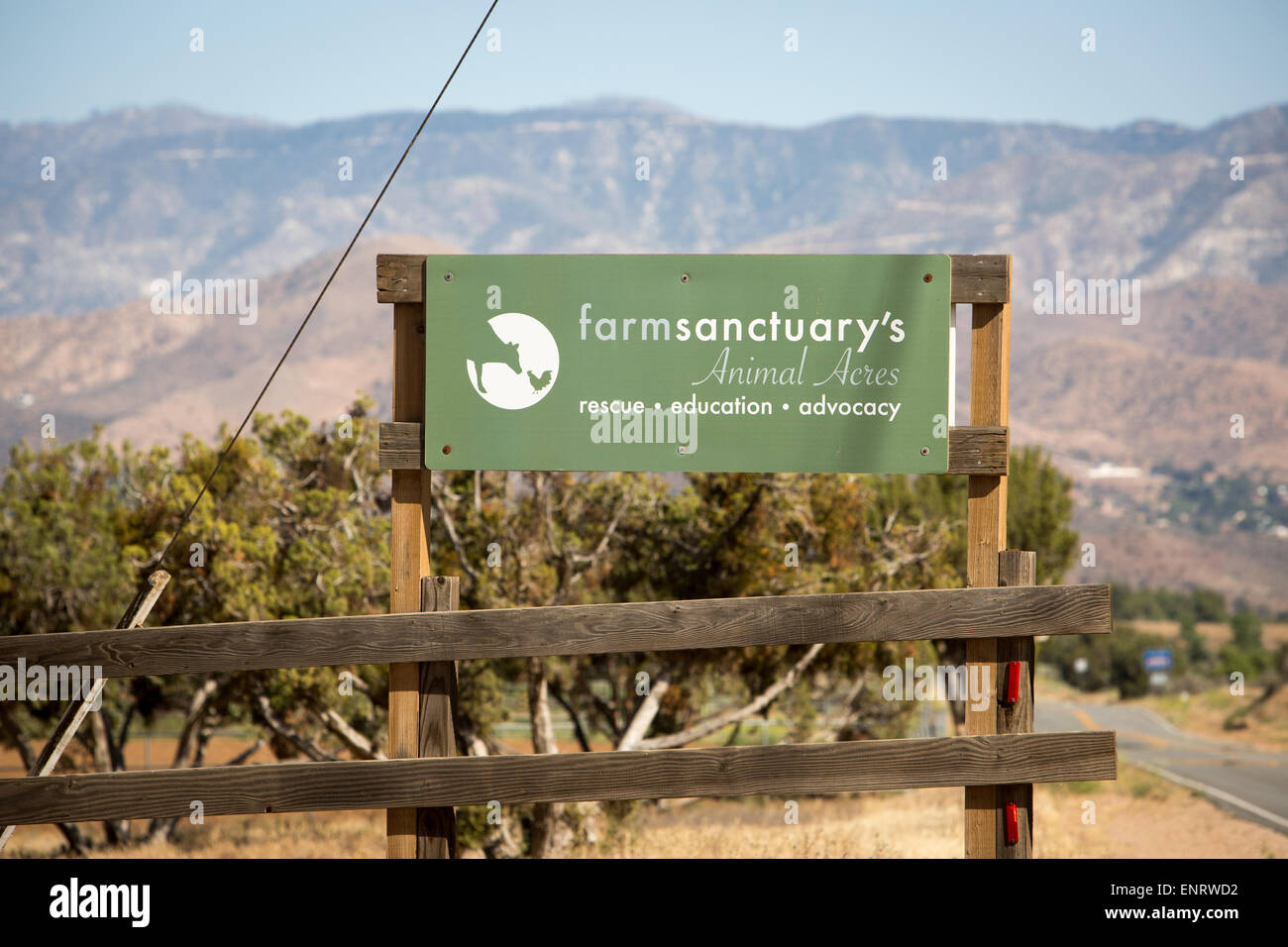 Farm Sanctuary in Acton, California. Un animale da azienda organizzazione di protezione con i santuari di New York e della California. Foto Stock