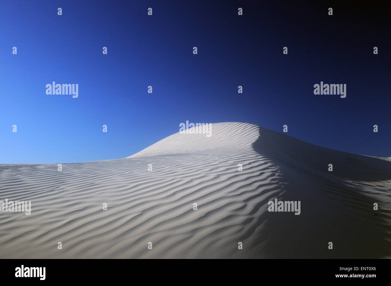Le dune di sabbia bianca scolpite dal vento vicino la costa dell'Oceano Indiano, Nambung National Park, Australia occidentale Foto Stock